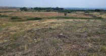 Land for Sale in Ashtarak District