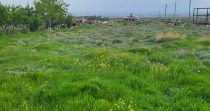 Land For Sale in Proshyan District