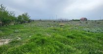 Land For Sale in Proshyan District