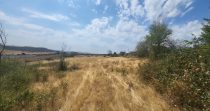 Agricultural Land for Sale in Arzni – Kotayk