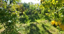 Private House for Sale in Ashtarak District